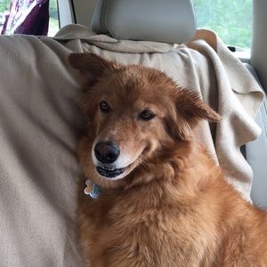 Meet your Posher, Kristin